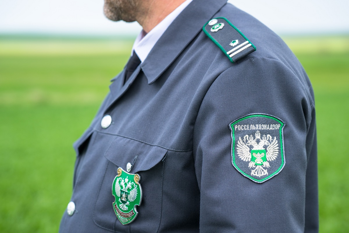 Россельхознадзор снова выявил карантинные объекты в экспортной продукции компаний «Лотте Интернешнл»